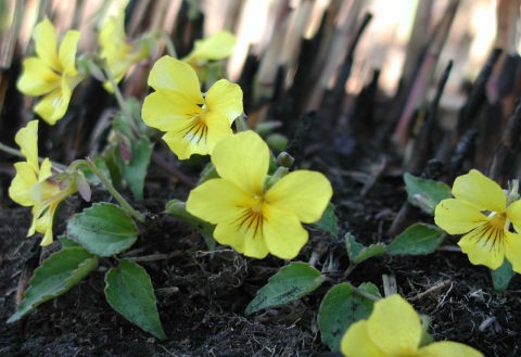 �B�e���@2001.04.15