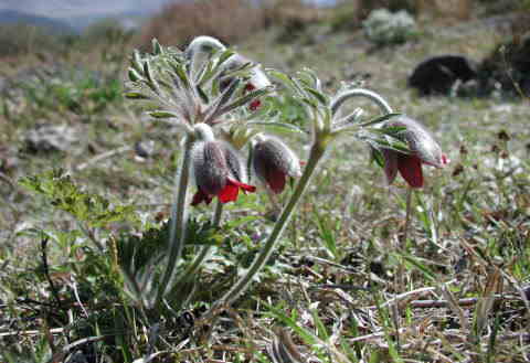 �B�e���@2001.04.15