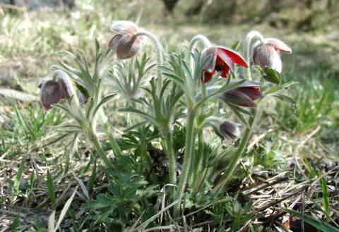 �B�e���@2001.04.15